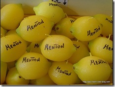 Fete-du-Citron-Menton-2010--036-