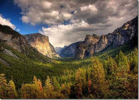 Yosemite National Park 02