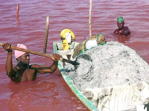 Un Sénégalais charge, le 03 février 2001, avec une pelle le sel extrait du lac Retba, également appelé lac Rose, situé à une trentaine de kilomètres de Dakar. Les populations des villages environnants vivent de l'exploitation du sel extrait de manière artisanale dans des conditions de travail difficiles, et vendu dans d'autres pays d'Afrique de l'Ouest. Le lac Retba, profond d'environ 3 mètres, contient une eau à forte teneur en sel (230 grammes par litre). Cependant, la surexploitation de ce produit fait peser des menaces sur le site touristique. AFP PHOTO/DIALLO SEYLLOU<br /><br /><br /><br />
