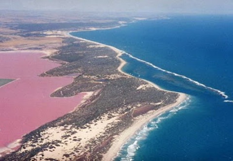 Hutt Lagoon, Australia2