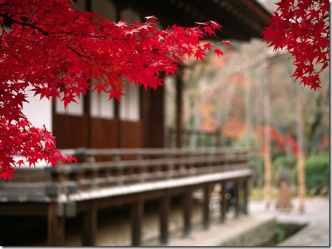 Arashiyama_05_Templo de Tenryuji
