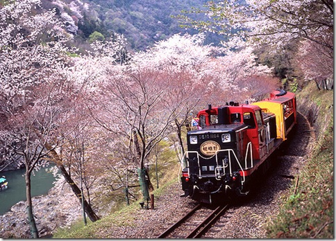 Arashiyama_12_viagem de trem