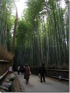 Arashiyama_15a_floresta de bambu