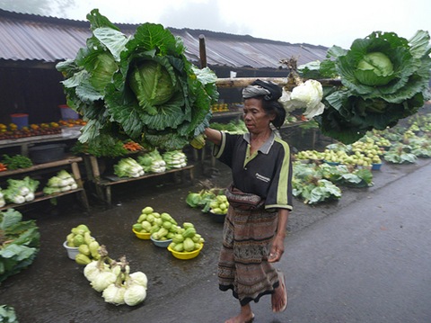 Ilha Flores_15_mercado de frutas e verduras