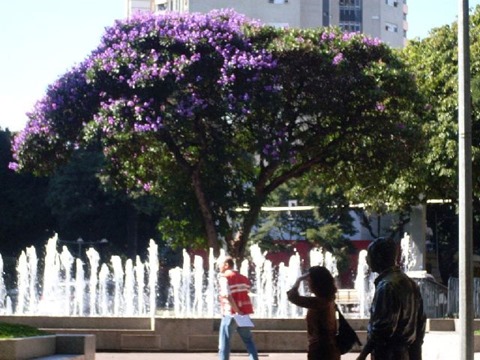06_Praça da Savassi_fonte
