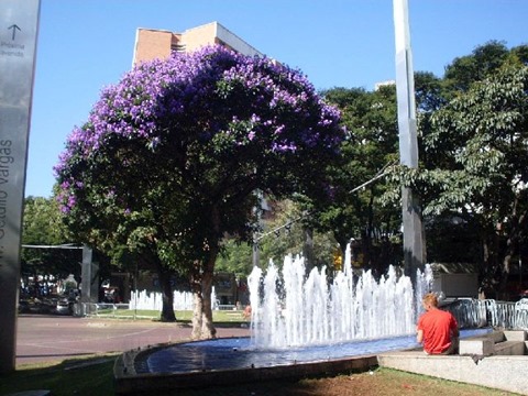08_Praça da Savassi_fonte